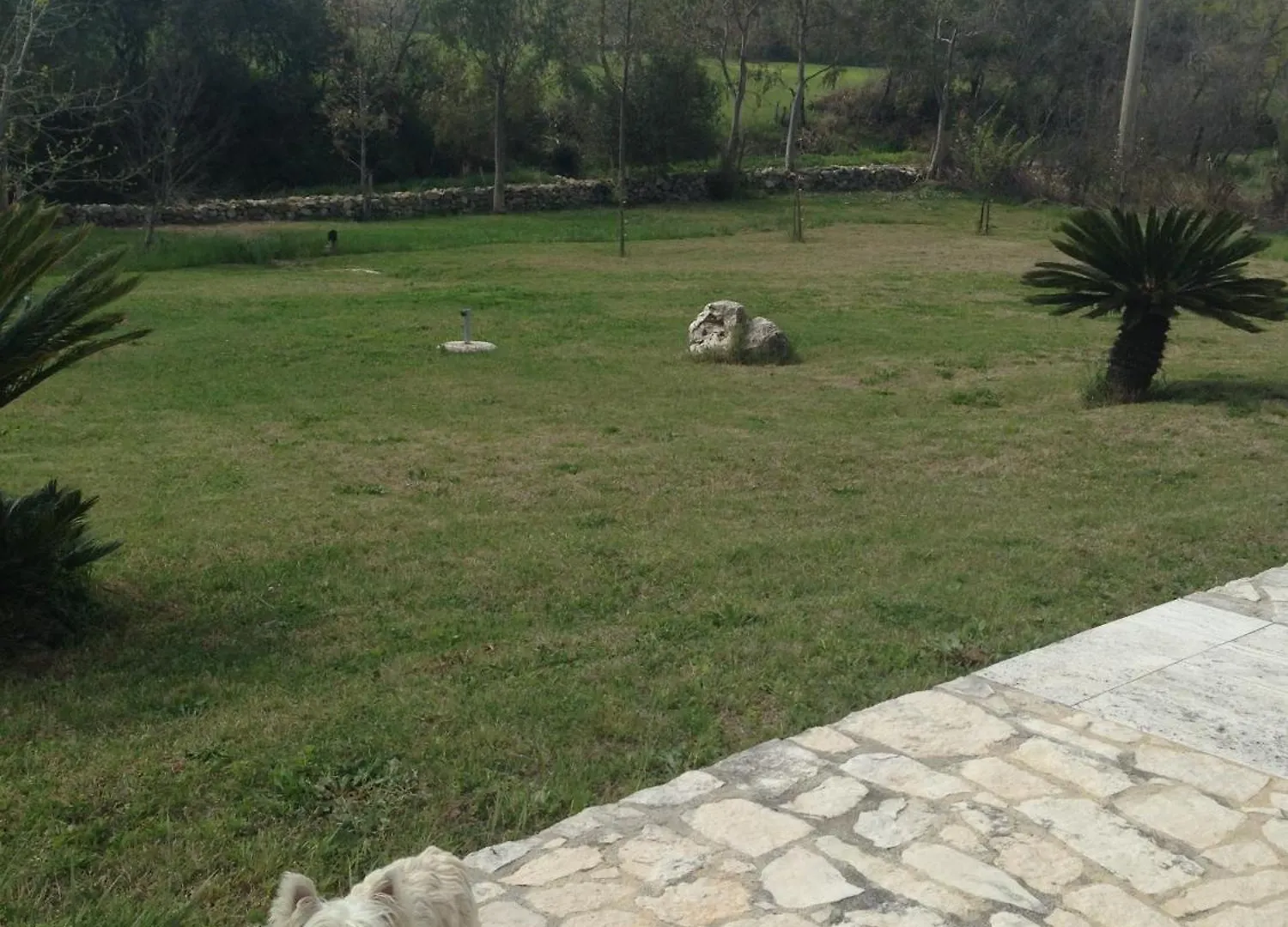 Hotel Bagno Santo Residence Saturnia